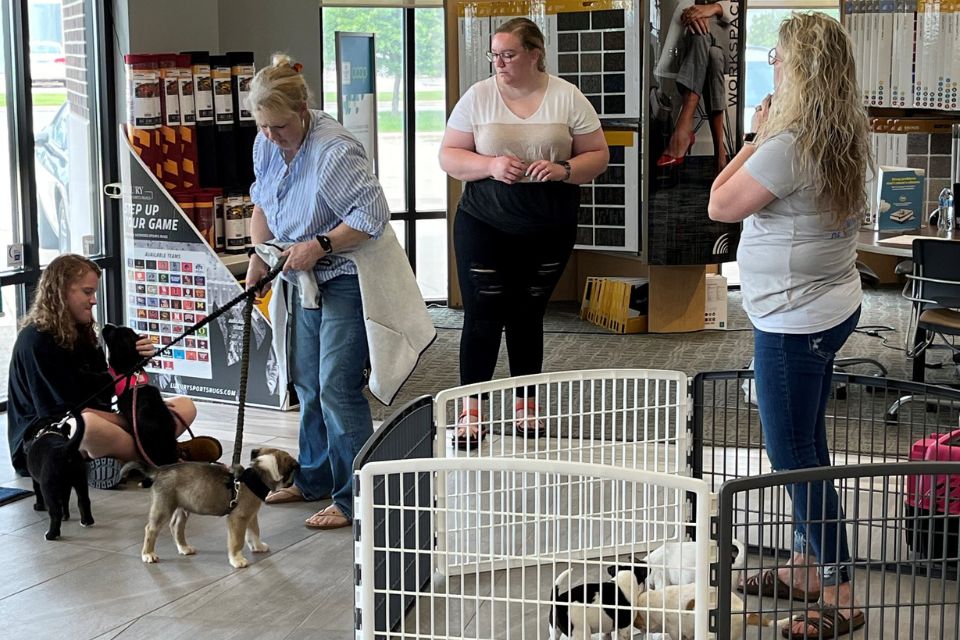 Pet adoption event at spirit lake